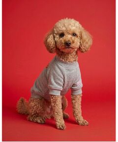 ALL NEW MART / オールニューマート ペットグッズ | pup pup number one sweat ／ パップパップナンバーワンスウェット