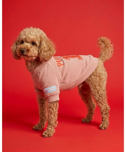 ALL NEW MART / オールニューマート ペットグッズ | pup pup number one sweat ／ パップパップナンバーワンスウェット | 詳細6