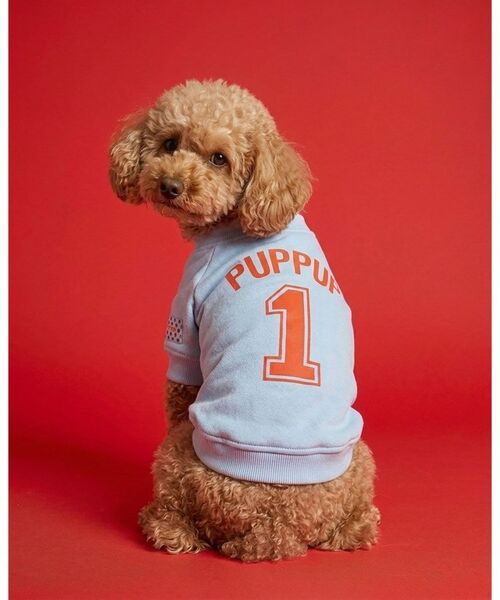 ALL NEW MART / オールニューマート ペットグッズ | pup pup number one sweat ／ パップパップナンバーワンスウェット | 詳細9