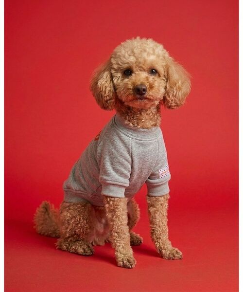 ALL NEW MART / オールニューマート ペットグッズ | pup pup number one sweat ／ パップパップナンバーワンスウェット（ライトグレー(011)）