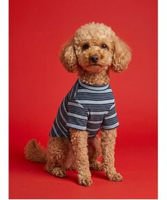 ALL NEW MART / オールニューマート ペットグッズ | border relax wear ／ ボーダーリラックスウェア