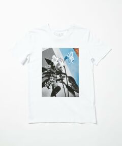 【LISA KING(リサ キング)】 PRINTED TEE / フォトプリントT