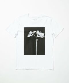 【LISA KING(リサ キング)】 PRINTED TEE / フォトプリントT