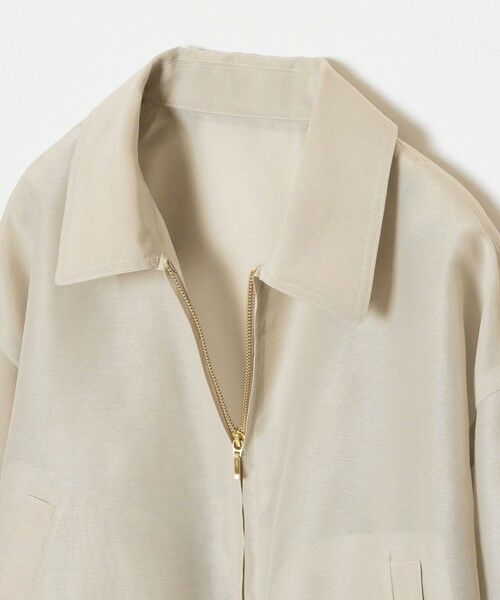 allureville / アルアバイル ブルゾン | オーガンジーステンカラーブルゾン | 詳細10