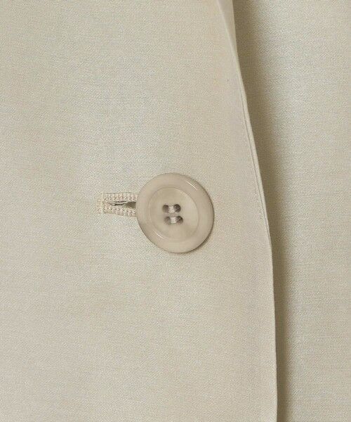 allureville / アルアバイル テーラードジャケット | ライトオーガンジーシアージャケット | 詳細17