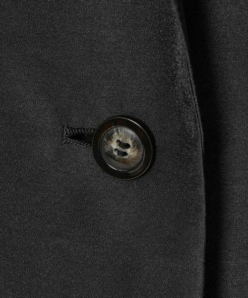 allureville / アルアバイル テーラードジャケット | ライトオーガンジーシアージャケット | 詳細30