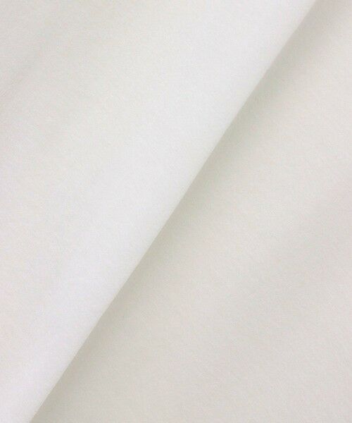 allureville / アルアバイル カットソー | シアー天竺ロンTEE | 詳細4