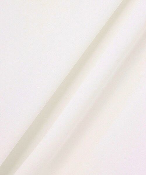 allureville / アルアバイル シャツ・ブラウス | 【LOULOU WILLOUGHBY】アムンゼンプチフリルブラウス | 詳細2