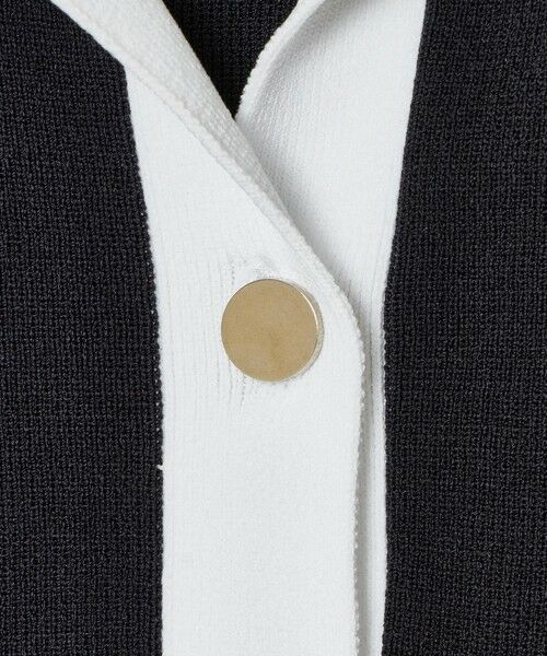 allureville / アルアバイル ニット・セーター | サマーラガーシャツ | 詳細19