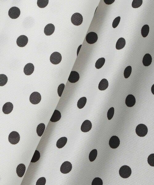 allureville / アルアバイル その他パンツ | パネルドットプリントパンツ | 詳細19