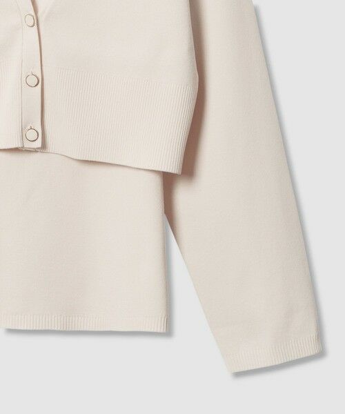 allureville / アルアバイル ニット・セーター | 【LOULOU WILLOUGHBY】アメスリアンサンブル | 詳細9