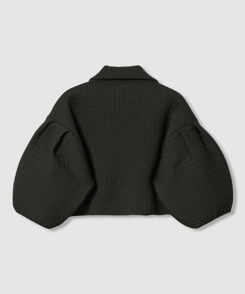 allureville / アルアバイル ニット・セーター | 【LOULOU WILLOUGHBY】ダブルジャガードパフニットジャケット | 詳細20