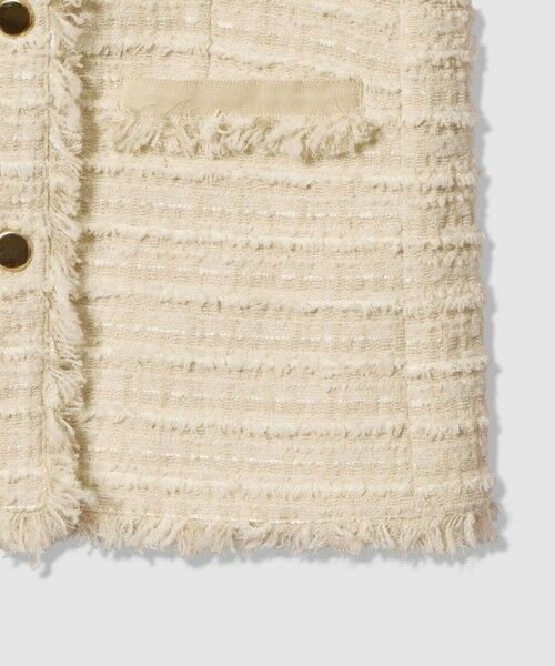 allureville / アルアバイル ベスト | ジオリカツィードフリンジジレ | 詳細8