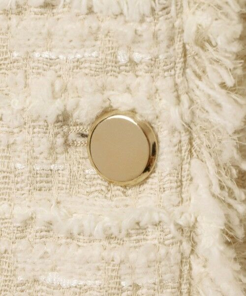 allureville / アルアバイル ベスト | ジオリカツィードフリンジジレ | 詳細10