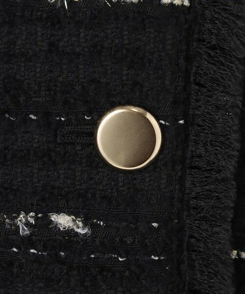 allureville / アルアバイル ベスト | ジオリカツィードフリンジジレ | 詳細22