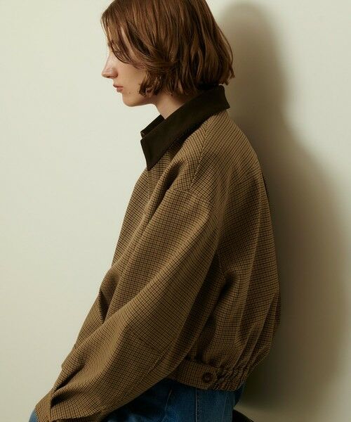 allureville / アルアバイル ブルゾン | ステンカラーブルゾン | 詳細18