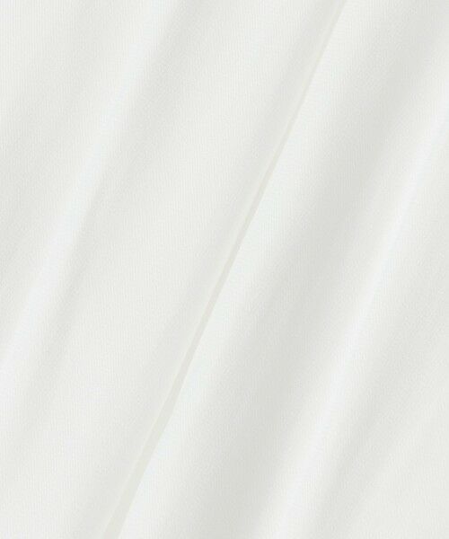 allureville / アルアバイル シャツ・ブラウス | フリルスリーブブラウス | 詳細9