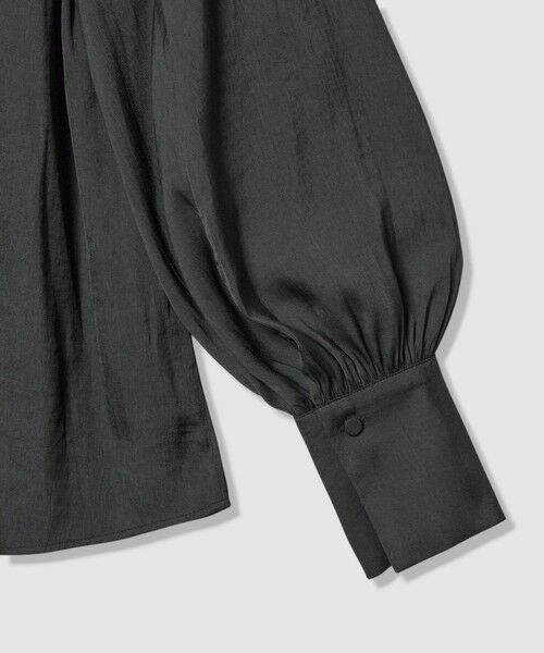 allureville / アルアバイル シャツ・ブラウス | フリルスリーブブラウス | 詳細23