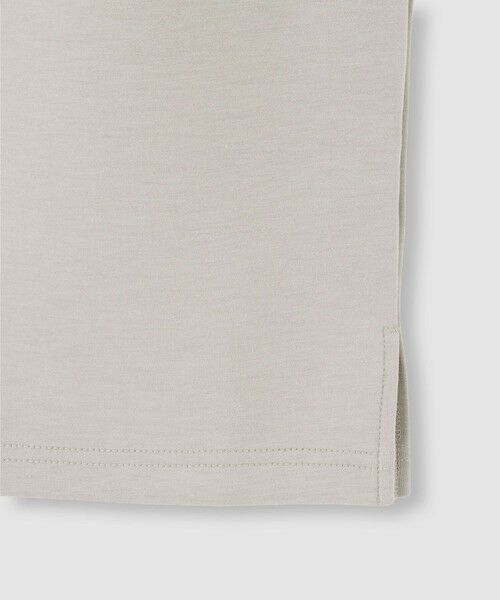 allureville / アルアバイル カットソー | ハーフＺＩＰプルオーバー | 詳細3