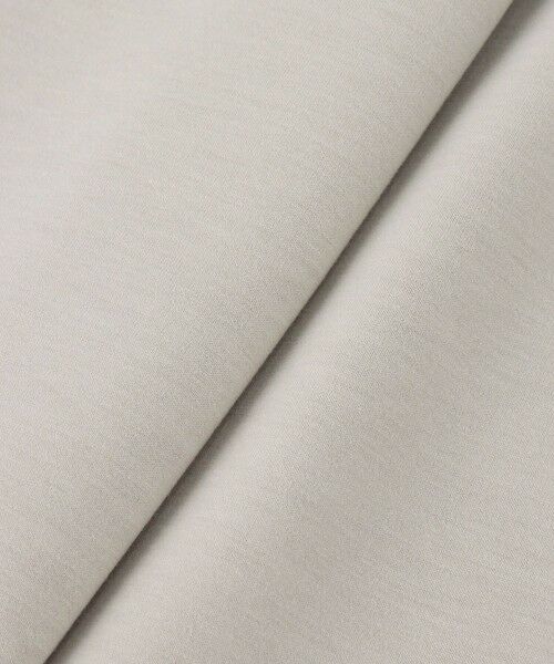 allureville / アルアバイル カットソー | ハーフＺＩＰプルオーバー | 詳細4