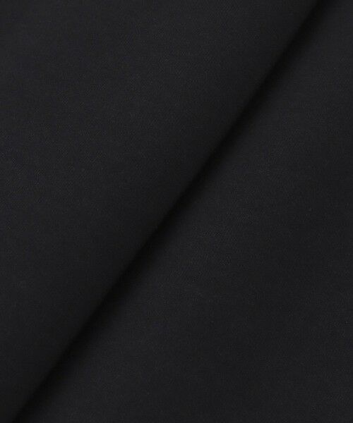 allureville / アルアバイル カットソー | ハーフＺＩＰプルオーバー | 詳細6