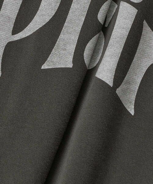 allureville / アルアバイル カットソー | ロゴスウェットプルオーバー | 詳細16