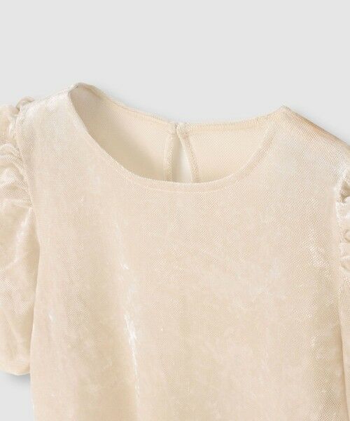 allureville / アルアバイル カットソー | 【LOULOU WILLOUGHBY】ベロア半袖プルオーバー | 詳細6