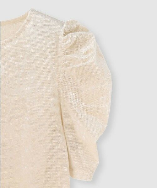 allureville / アルアバイル カットソー | 【LOULOU WILLOUGHBY】ベロア半袖プルオーバー | 詳細7