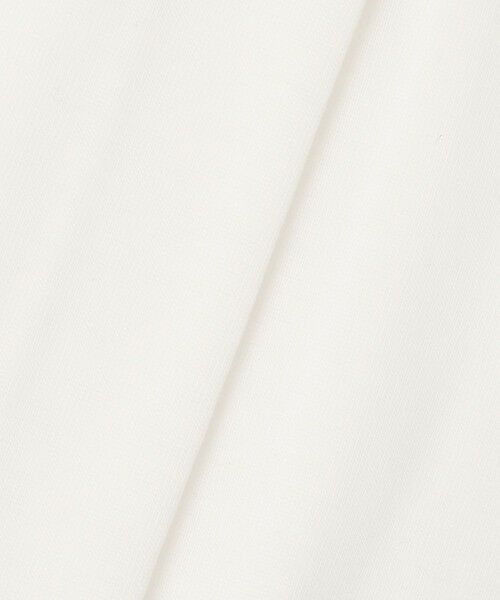 allureville / アルアバイル カットソー | 強撚シアーフライスプルオーバー | 詳細2