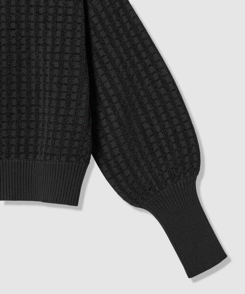 allureville / アルアバイル ニット・セーター | 【LOULOU WILLOUGHBY】ロングリブカフスモールプルオーバー | 詳細20