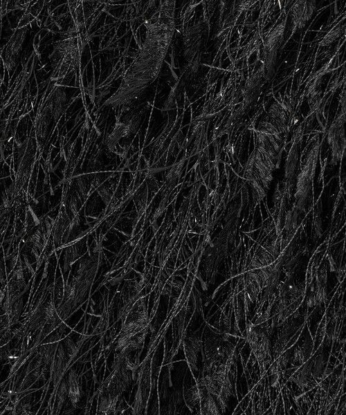 allureville / アルアバイル シャツ・ブラウス | フェザービスチェ | 詳細12