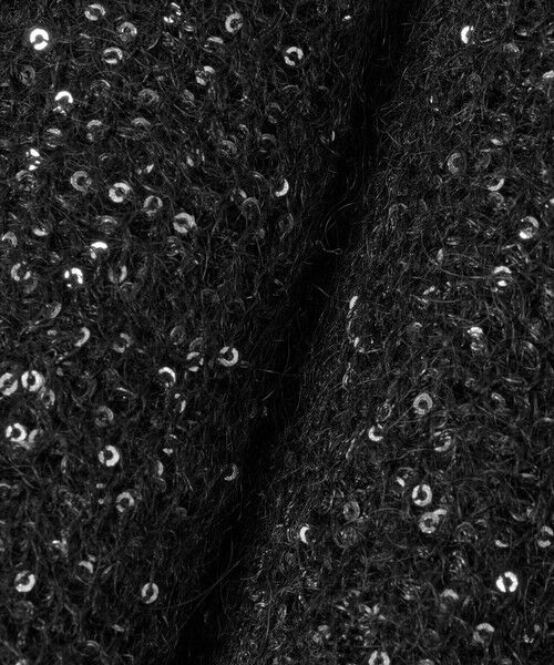 allureville / アルアバイル ニット・セーター | モヘヤスパンコールプルオーバー | 詳細18