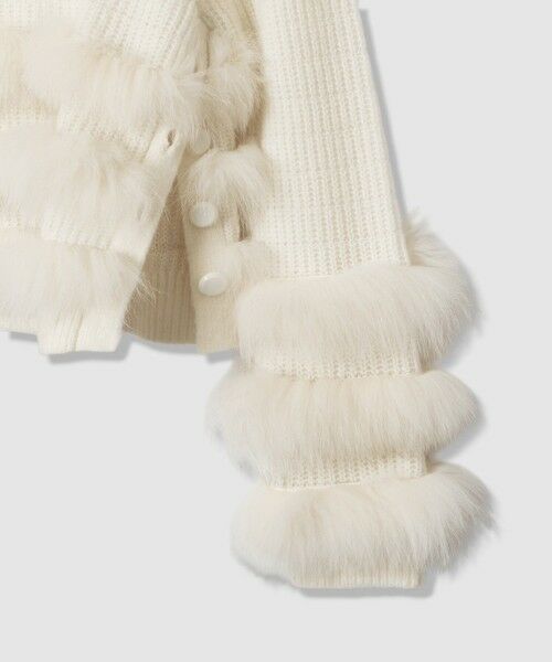 allureville / アルアバイル ニット・セーター | 【LOULOU WILLOUGHBY】フォックスファートリミングプルオーバー | 詳細11