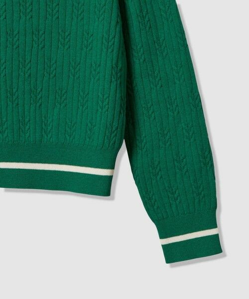 allureville / アルアバイル ニット・セーター | Ｗミニケーブルプルオーバー | 詳細19