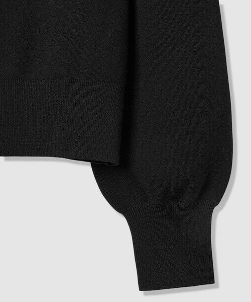 allureville / アルアバイル ニット・セーター | 【LOULOU WILLOUGHBY】フラワー衿付プルオーバー | 詳細28