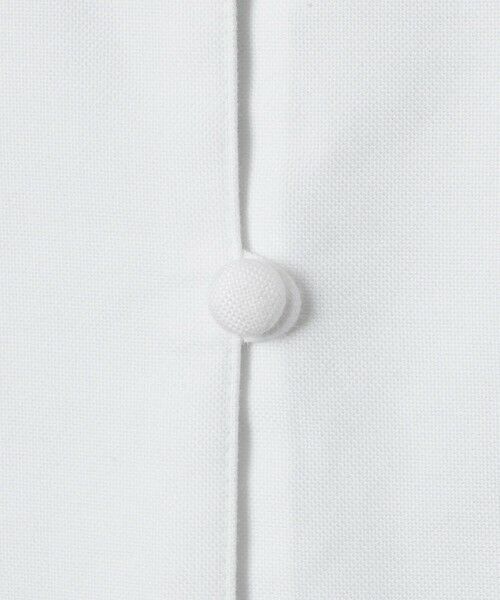 allureville / アルアバイル シャツ・ブラウス | ボイルブザムシャツ | 詳細2