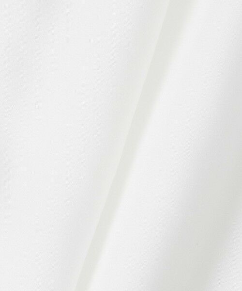 allureville / アルアバイル シャツ・ブラウス | ボイルブザムシャツ | 詳細3