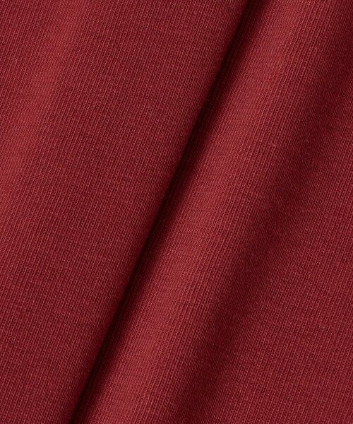 allureville / アルアバイル Tシャツ | ＦＬＯＲＥ　ＦＬＯＲＥ　ＣＡＲ　ＴＥＥ | 詳細4