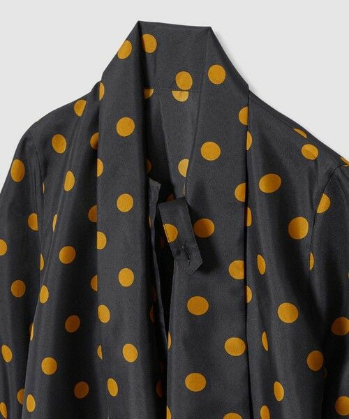 allureville / アルアバイル シャツ・ブラウス | ポルカドットブラウス | 詳細26