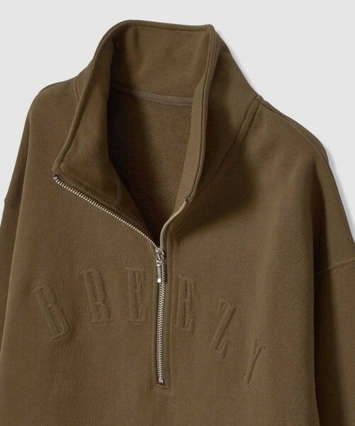 allureville / アルアバイル カットソー | ハーフジップ刺繍プルオーバー | 詳細17