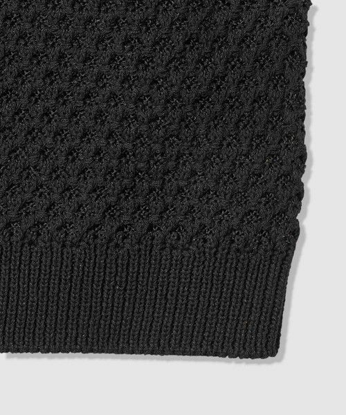 allureville / アルアバイル ニット・セーター | 透かし編みジレプルオーバー | 詳細19