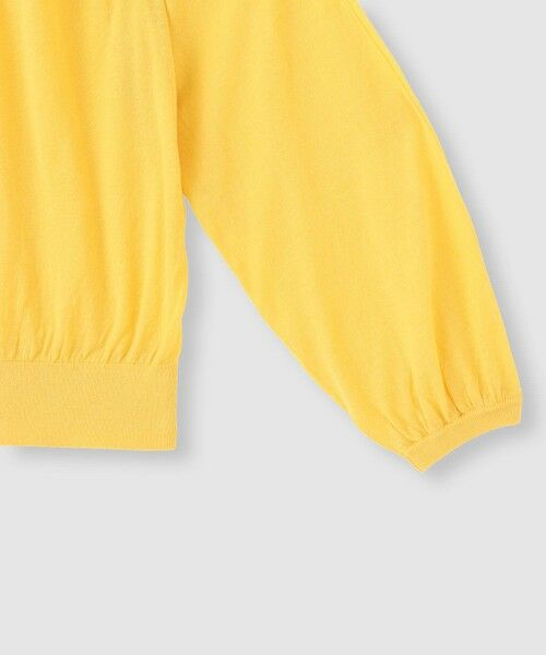 allureville / アルアバイル ニット・セーター | 【ATELIER Line】コットンシアープルオーバー | 詳細11