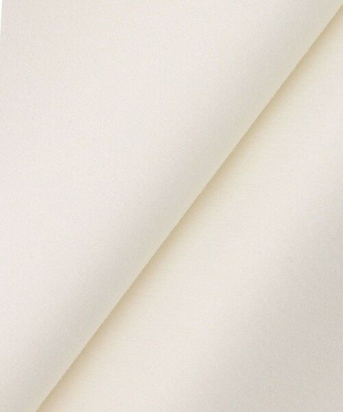 allureville / アルアバイル ミニ・ひざ丈スカート | フィブリルバヤスナロースカート | 詳細12