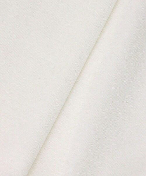 allureville / アルアバイル カットソー | 強撚フライスタートルプルオーバー | 詳細4