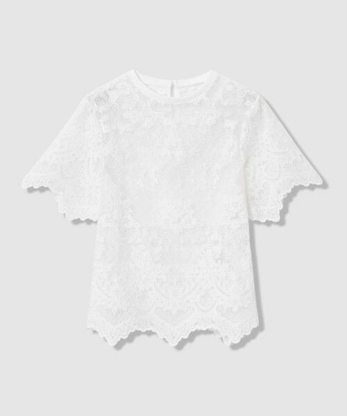 allureville / アルアバイル カットソー | 【LOULOU WILLOUGHBY】オーガンスカラＴシャツ（オフホワイト (02)）