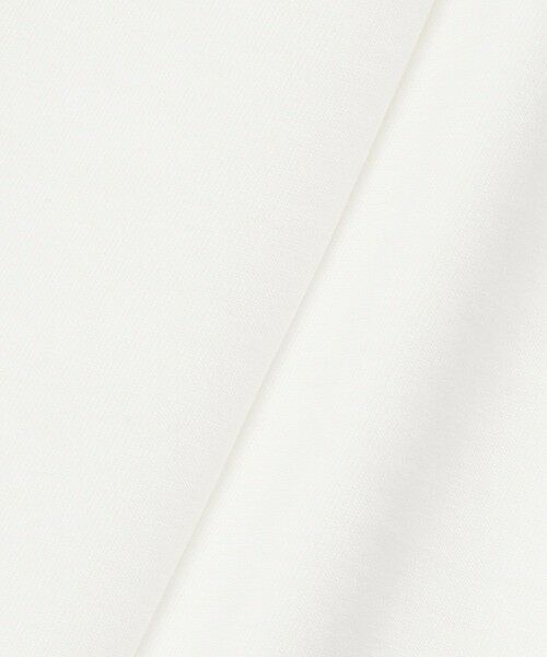 allureville / アルアバイル カットソー | 【LOULOU WILLOUGHBY】スカラレーストリミングＴシャツ | 詳細12