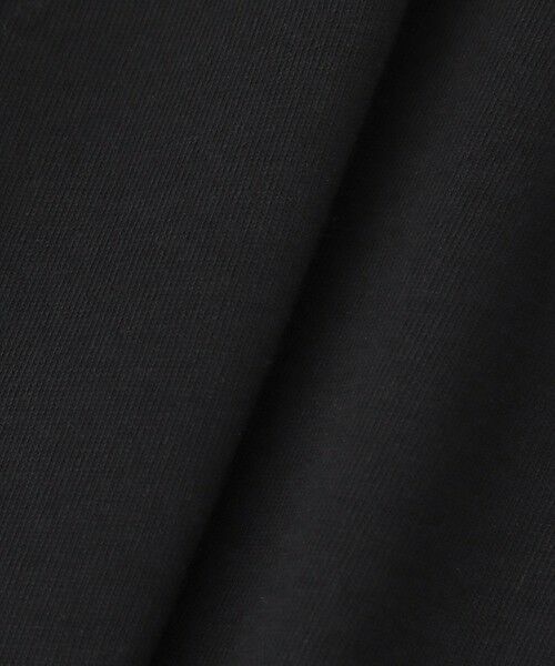 allureville / アルアバイル カットソー | 【LOULOU WILLOUGHBY】スカラレーストリミングＴシャツ | 詳細14
