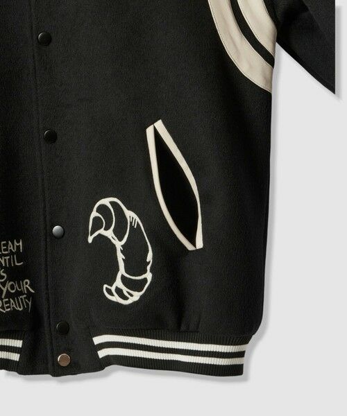 allureville / アルアバイル ブルゾン | 【FRENKEN(フランケン)】BASEBALL JACKET | 詳細13