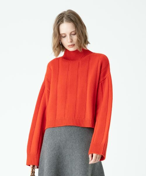 ＊＊allureville / アルアバイル ニット・セーター | ジーロンストライプミドリフプルオーバー（オレンジ）