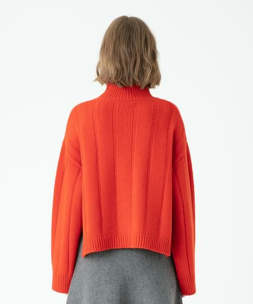 ＊＊allureville / アルアバイル ニット・セーター | ジーロンストライプミドリフプルオーバー | 詳細20